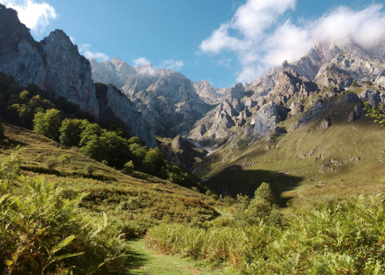 View of the mountains in Spain from a grassy valley