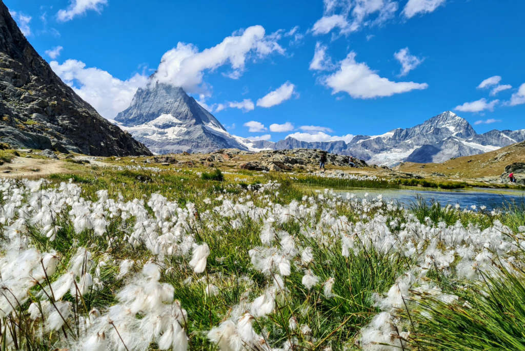 Striking view of the Matterhorn in Spring